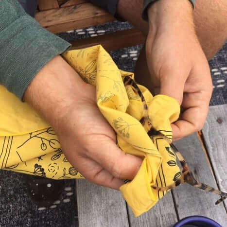 Pen+Pine Bee Bandana Folded