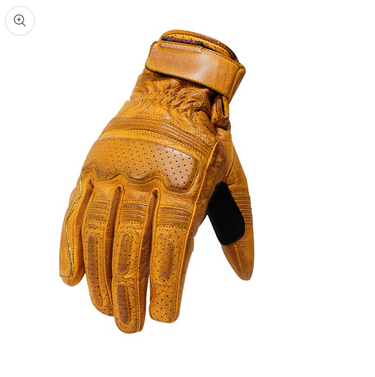 Fullerton Gold Glove