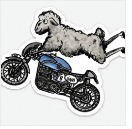 Sheep Sticker doing wheelie on motorcycle